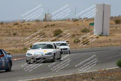 media/May-03-2025-Lucky Dog Racing (Sat) [[206de64b9d]]/Turn 6 (150pm-230pm)/